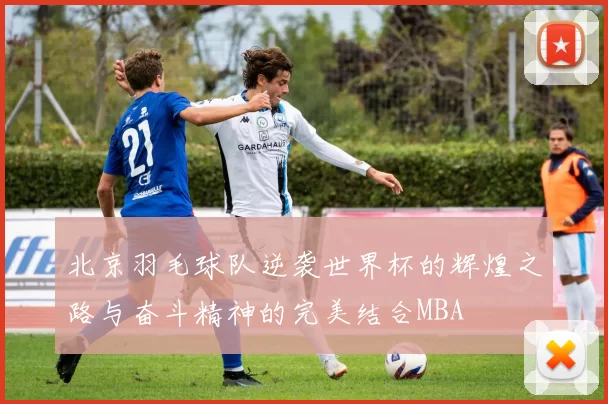 北京羽毛球队逆袭世界杯的辉煌之路与奋斗精神的完美结合MBA
