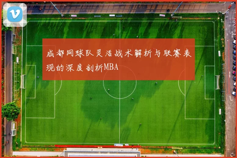 成都网球队灵活战术解析与联赛表现的深度剖析MBA